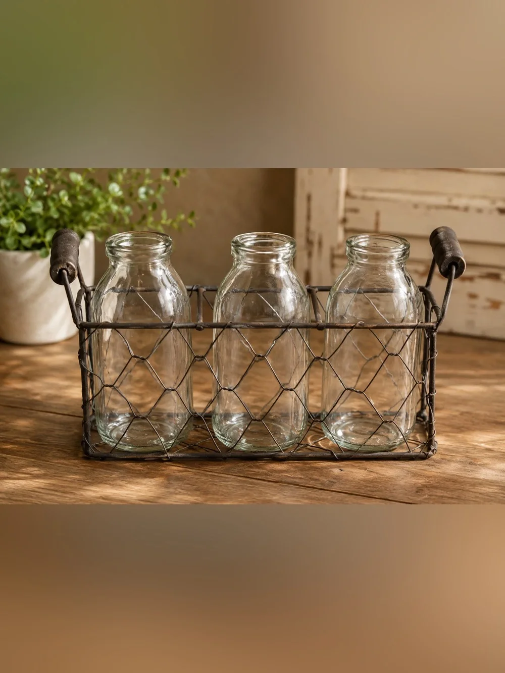 Rustic Farmhouse Succulent Centerpiece | 3 Glass Bottles in Wire Caddy